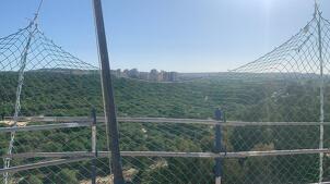 Vista 6ª Planta 