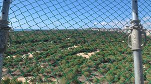 Vistas 8ª Planta 2